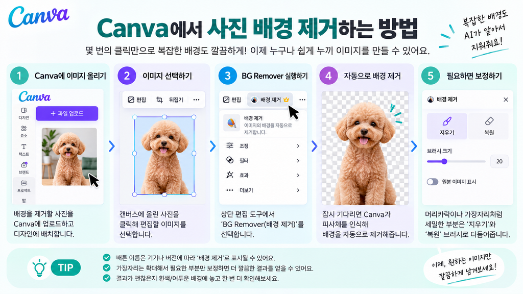 Canva에서 사진 배경을 제거하는 방법 인포그래픽